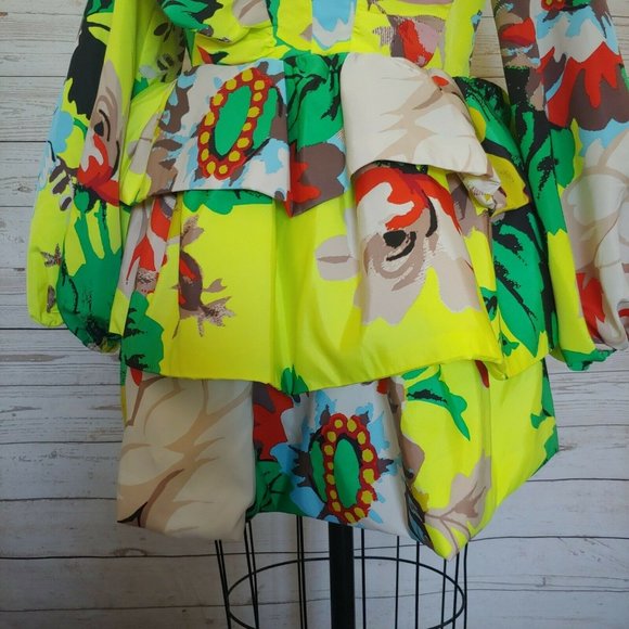 ♥️SOLD♥️Christopher John Rogers Target Size 10 - Picture 6 of 12